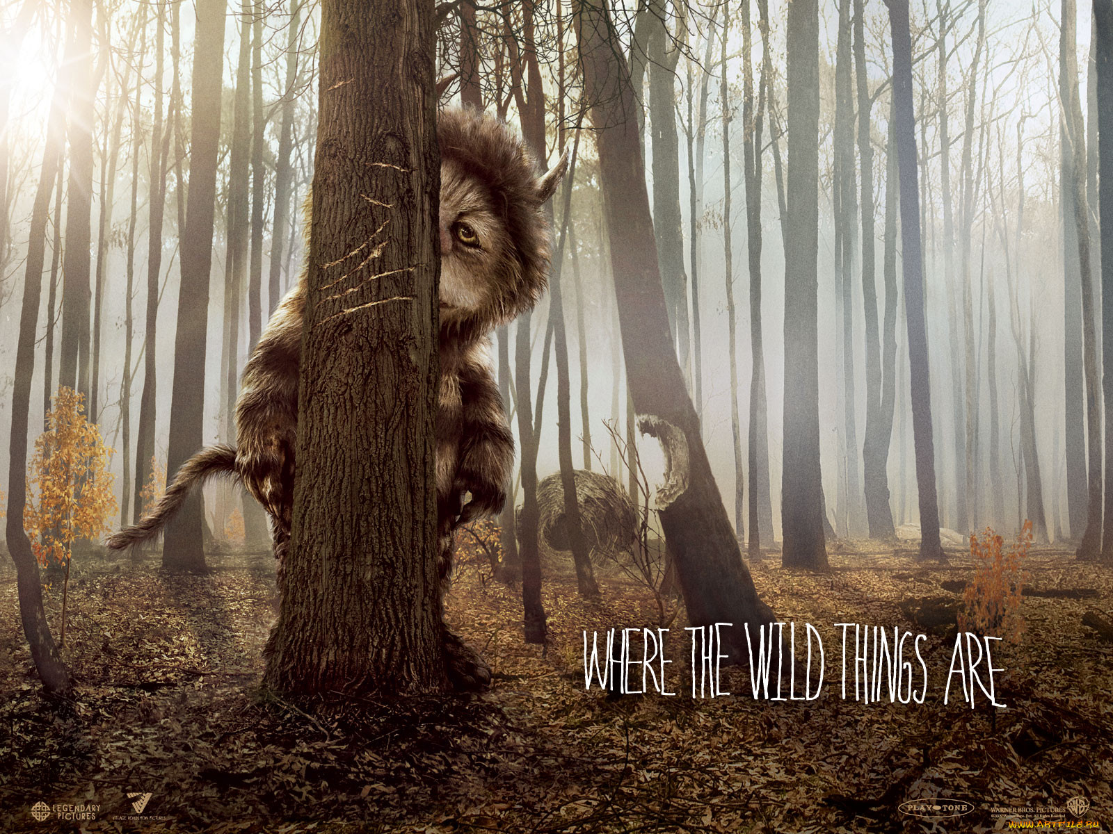 where, the, wild, things, are, , 